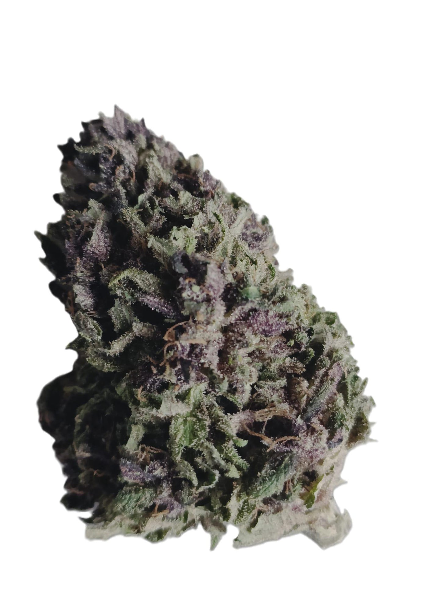 BLUE MEURINGUE DIESEL CBD