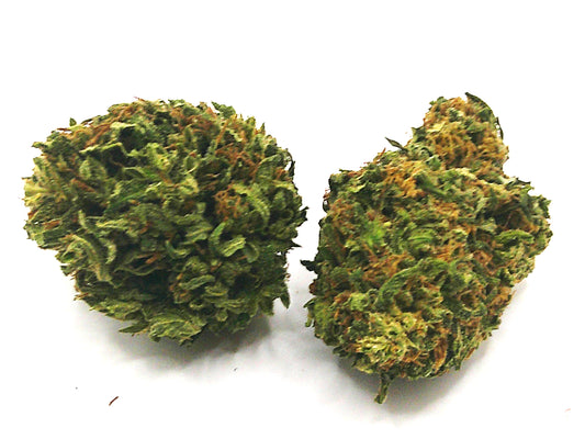 ENECTALIANA (RUPTURE DE STOCK)