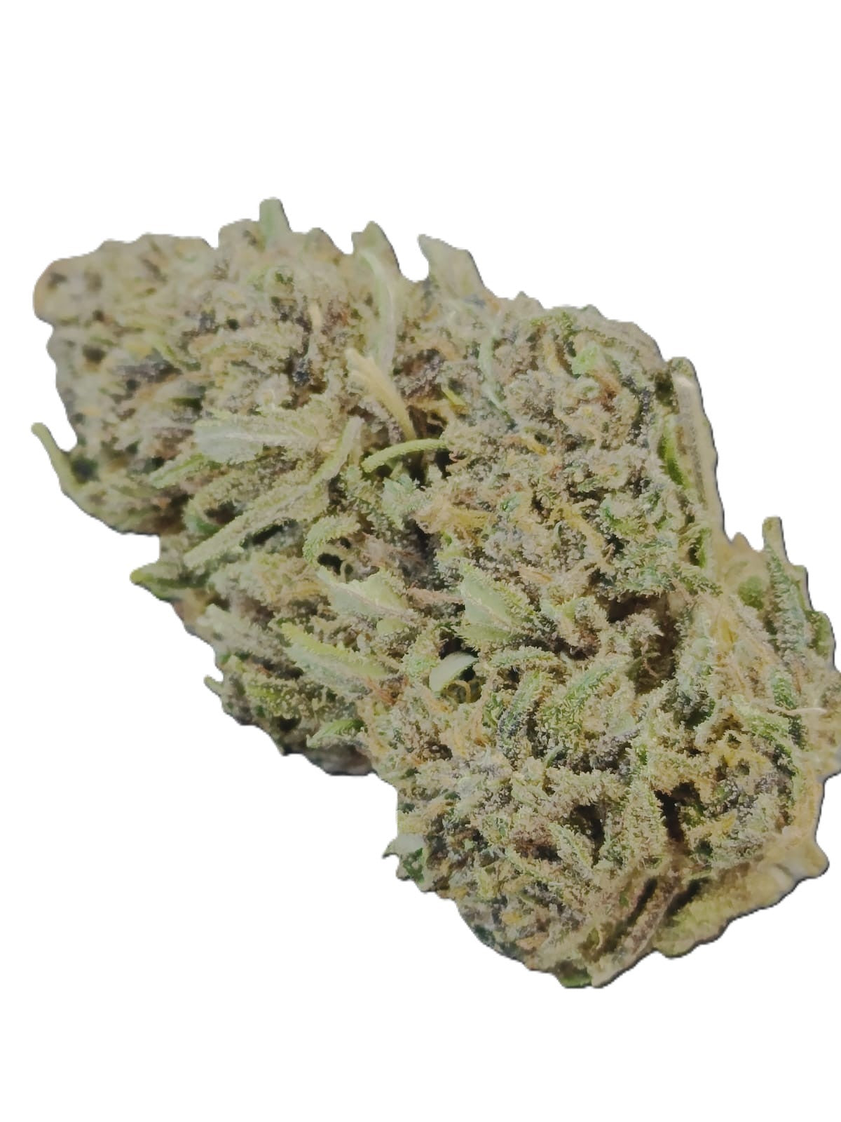 PINEAPPLE MIMOSA CBD