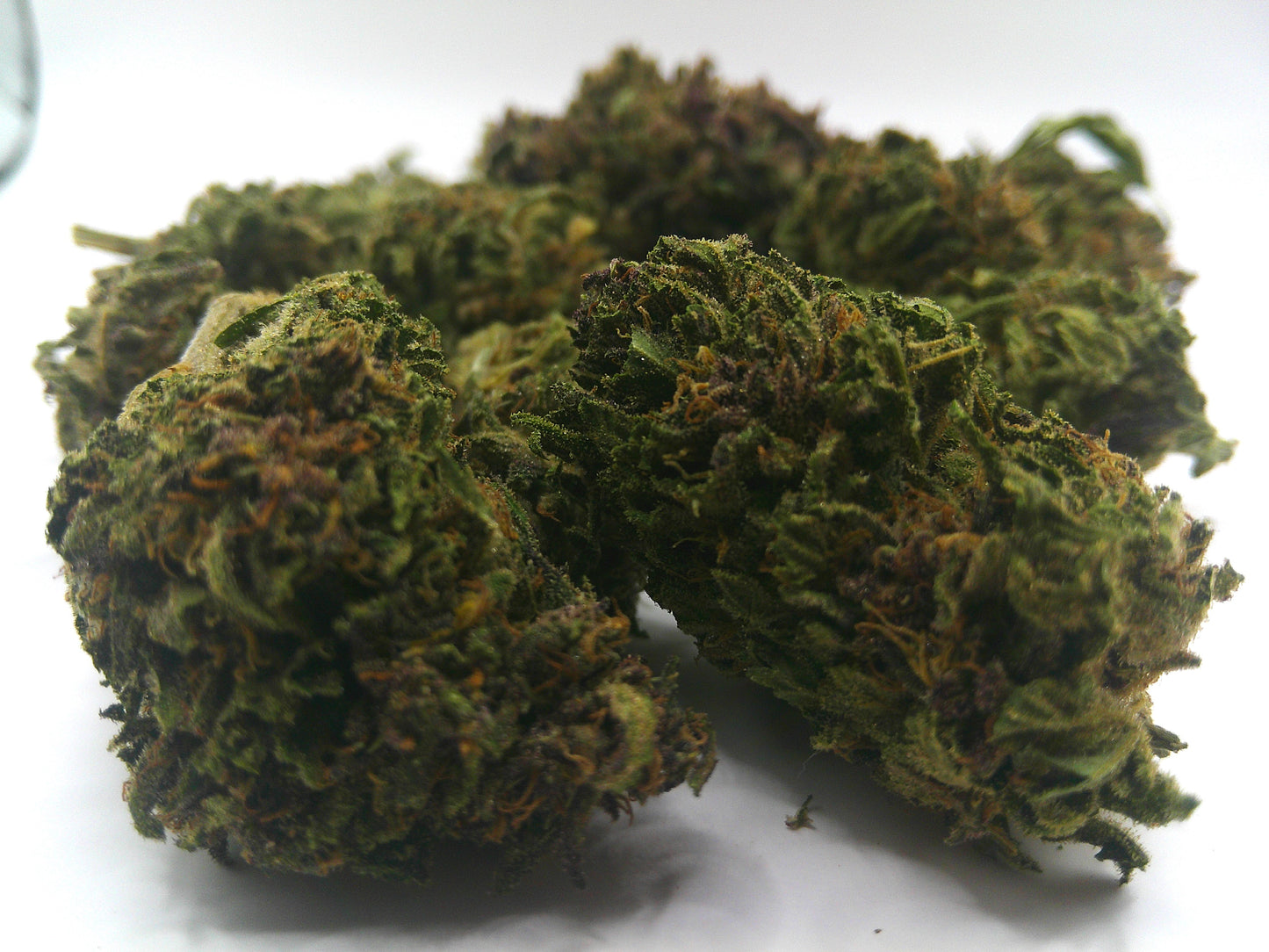 Platinium OG (Rupture de stock)