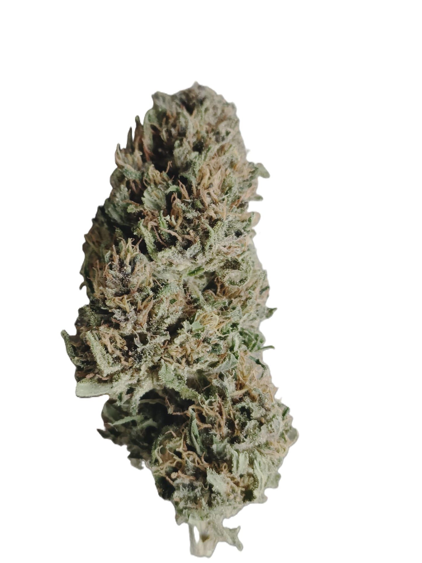 PINEAPPLE MIMOSA CBD