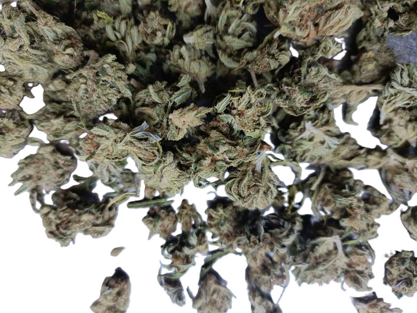 SMALL BUD CBD PAS CHER