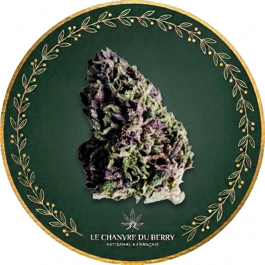 BLUE MEURINGUE DIESEL CBD