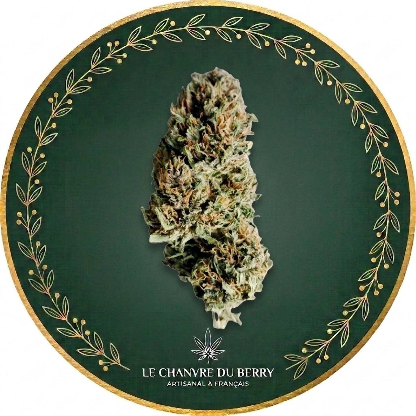 PINEAPPLE MIMOSA CBD