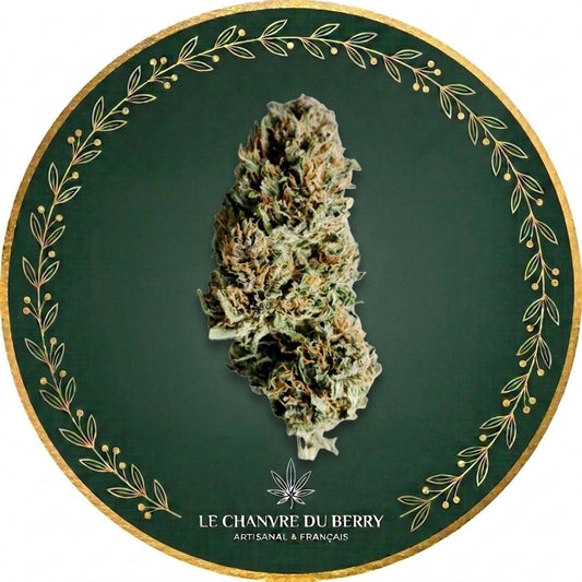 PINEAPPLE MIMOSA CBD