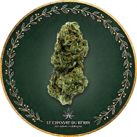 SKUNK .S CBD