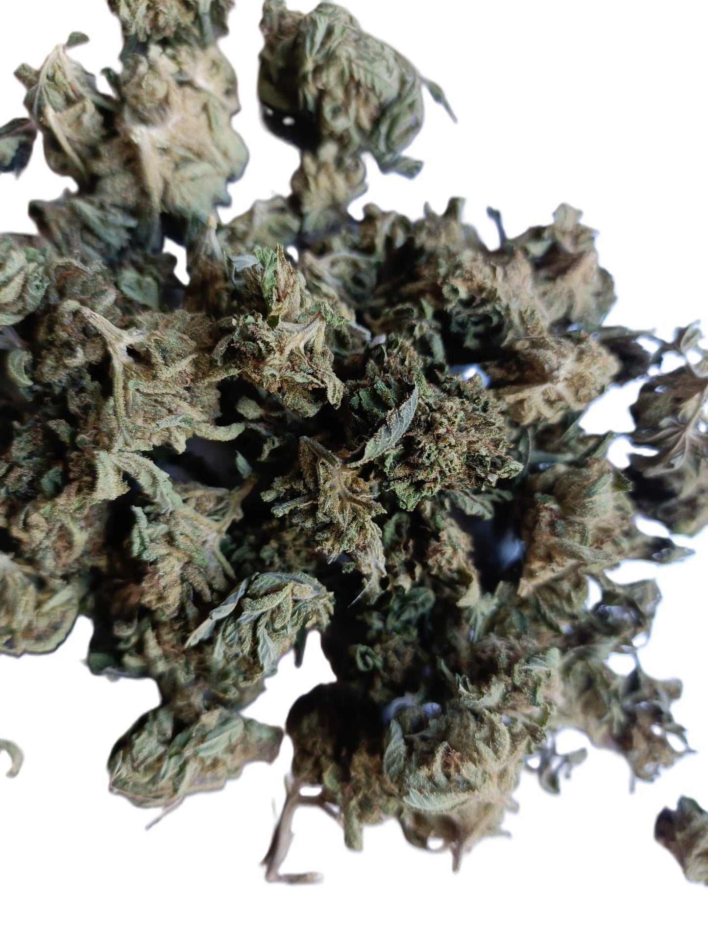 SMALL BUD CBD PAS CHER